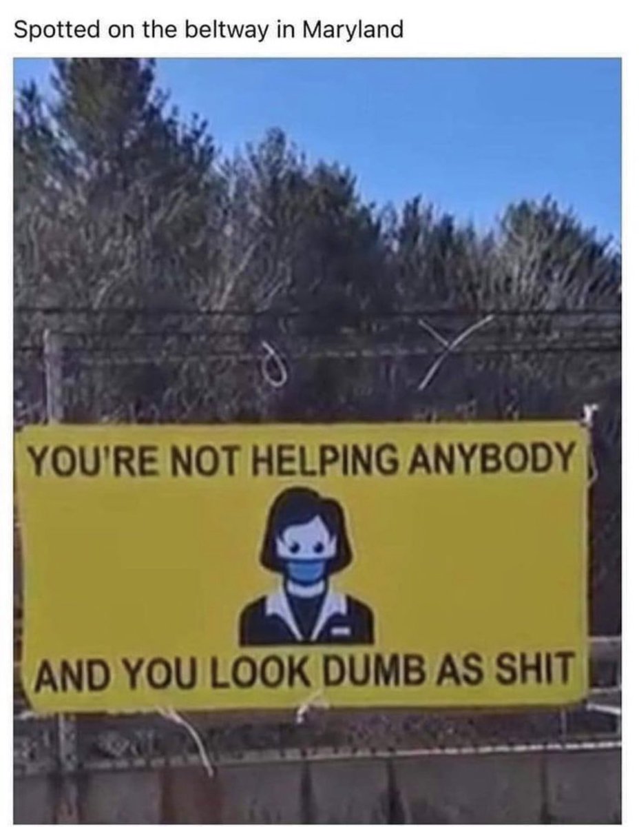 ksorbs's tweet image. 