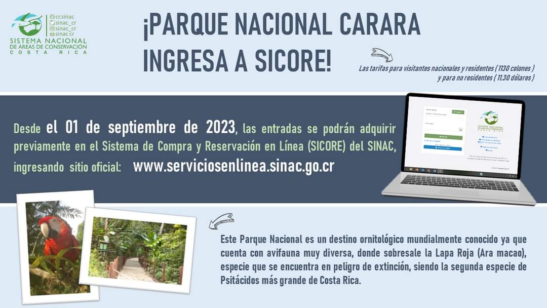 Entradas a Parque Nacional Carara:

PROXIMAMENTE PODRÁN ADQUIRIRSE MEDIANTE SISTEMA DE VENTA EN LINEA DEL SINAC

• El Parque Nacional Carara será la undécima Área Protegida en formar parte del SICORE.