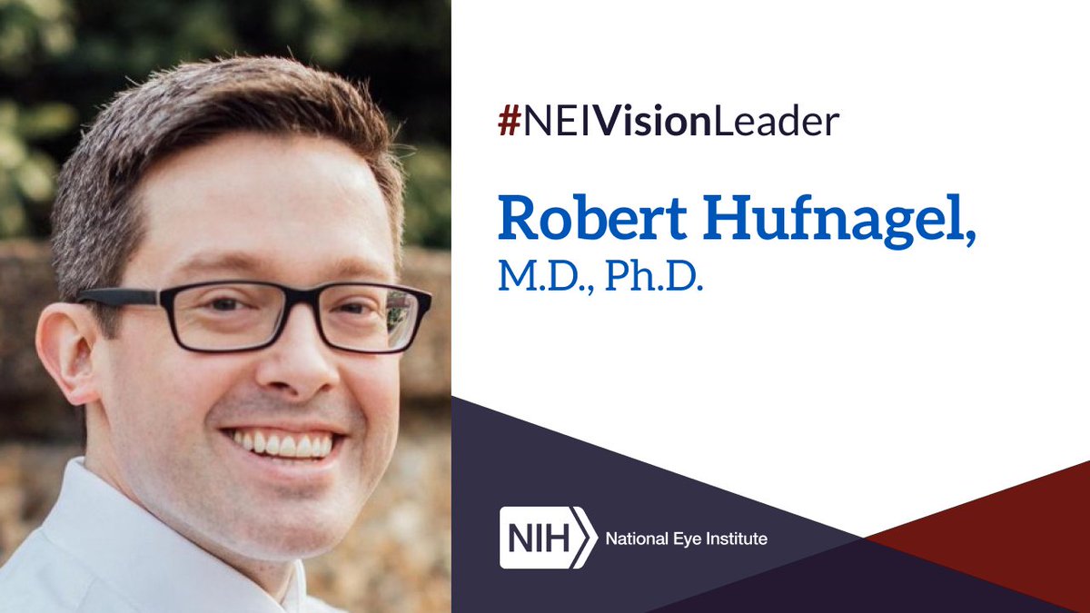 NatEyeInstitute's tweet image. Dr. Ashley Rasys and former NEI scientist Dr. Robert Hufnagel turned to a new model for studying rare eye diseases: the gecko. Learn more: irp.nih.gov/catalyst/31/2/… 
#NEIVisionLeaders