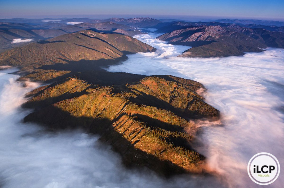ILCP's tweet image. Foggy morning in the mountains of the Clearwater National Forest (taken near Kelly Creek and Cayuse)

© Krista Schlyer / iLCP
______
#ilcp #ilcp_photographers #imagelicensing #clearwater #foggymorning #ilcp_imageservices #conservationphotography #clearwaternationalforest