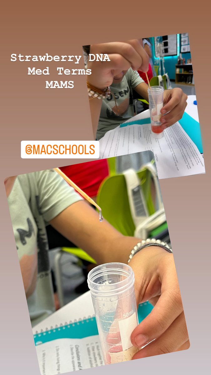 jessicawjessup's tweet photo. #growingbears
Mrs Amy Shoughโs Med Terms class had the experience of extracting DNA from a strawberry! https://t.co/5ajMADkdUz