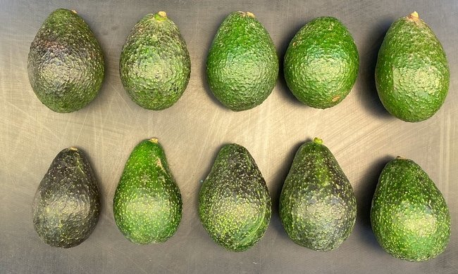 Our @UCSouthCoast and <a href="/UCLREC/">UC ANR Lindcove REC</a>, research and extension centers played a key role in helping a team of #UC researchers to identify the new 'Luna UCR' #avocado variety and prepare it for the world market. 🥑 <a href="/UCRiverside/">UC Riverside</a> <a href="/UCRCNAS/">UC Riverside CNAS</a> <a href="/saoimanu/">Saoimanu Sope</a> 

ucanr.edu/News/?routeNam…