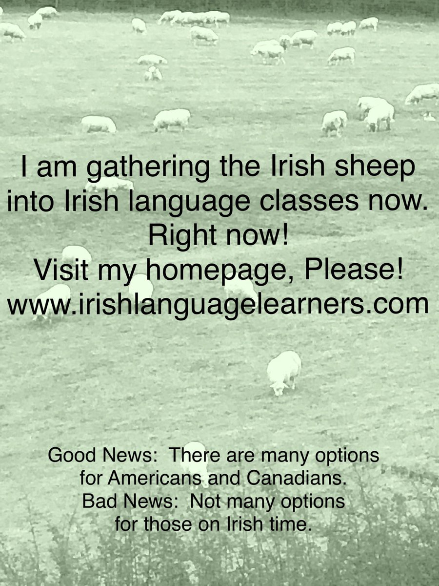 Learn Irish from an American!
with 13 classes I must be doing something right.