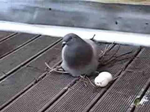 Nicole Clark tweet media