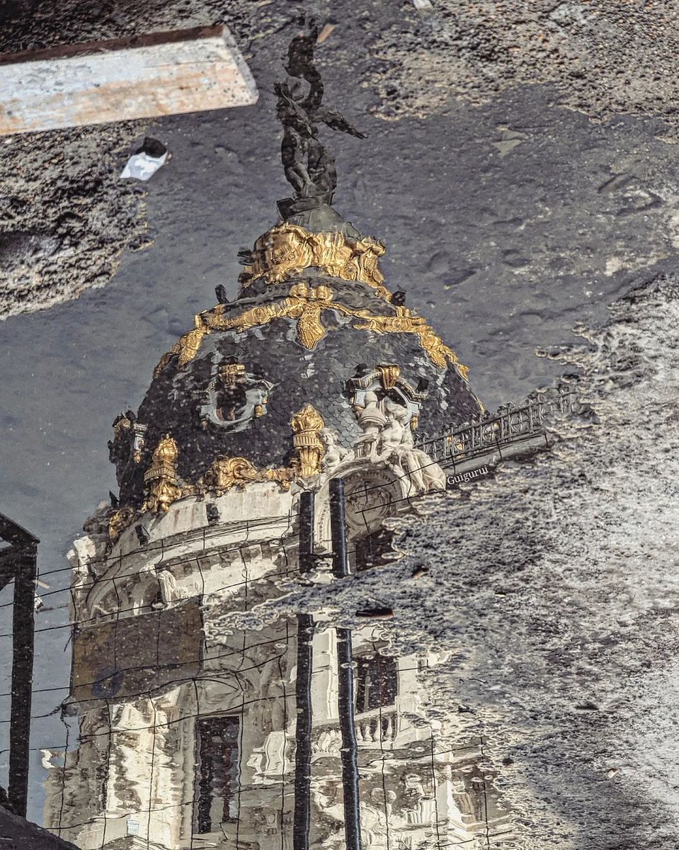 Adrián | Gato por Madrid 😺 tweet media