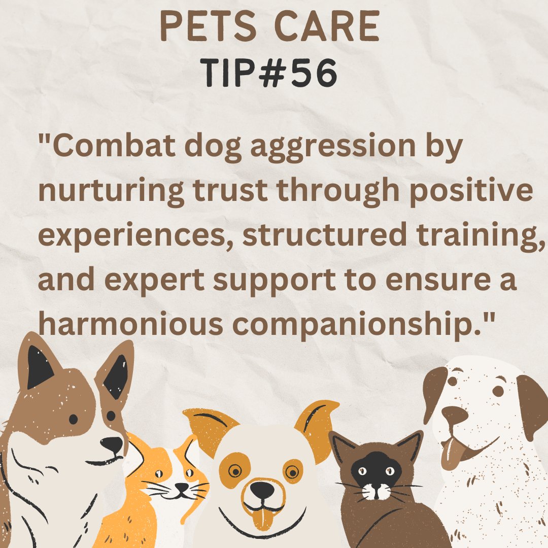 pets_care_4u's tweet photo. #dog #dogtip https://t.co/fEX2tZEILt