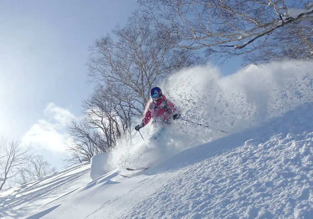 powderhounds1's tweet photo. Which are the snowiest ski resorts in Japan &amp; which have the best snow? We outline our thoughts on the famed Japan snow including statistics for lots of resorts for snowfall, elevation &amp; primary slope aspect https://t.co/F6efZI5msQ https://t.co/MHmHenkkri
