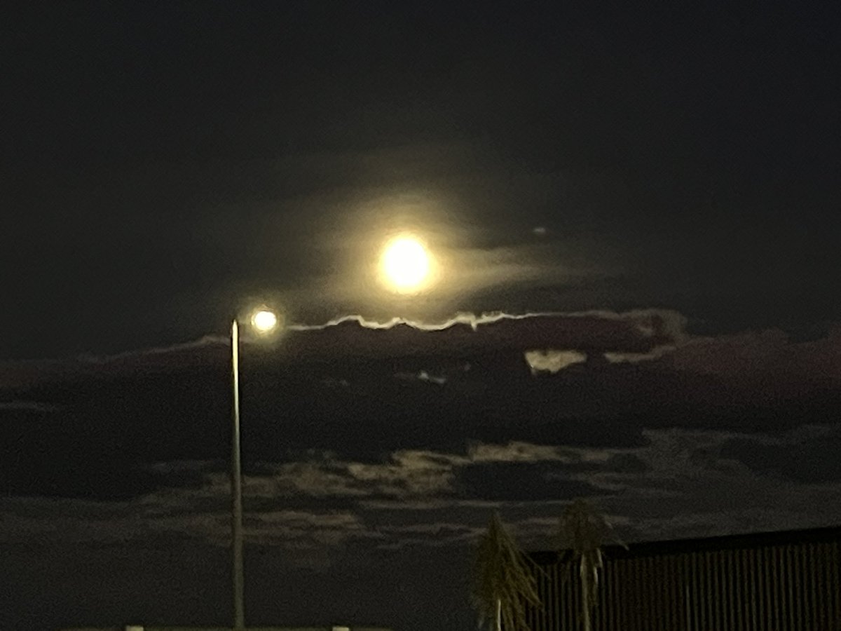 kiwipycon's tweet image. 15 days to #KiwiPyCon #Waihōpai #Invercargill #InvercargillAirport 

Visit southlandnz.com

Check Kiwi PyCon’s schedule kiwipycon.nz/schedule

Get your tickets 🎟️ and merch kiwipycon.nz/tickets

Book your accommodation kiwipycon.nz/accommodation