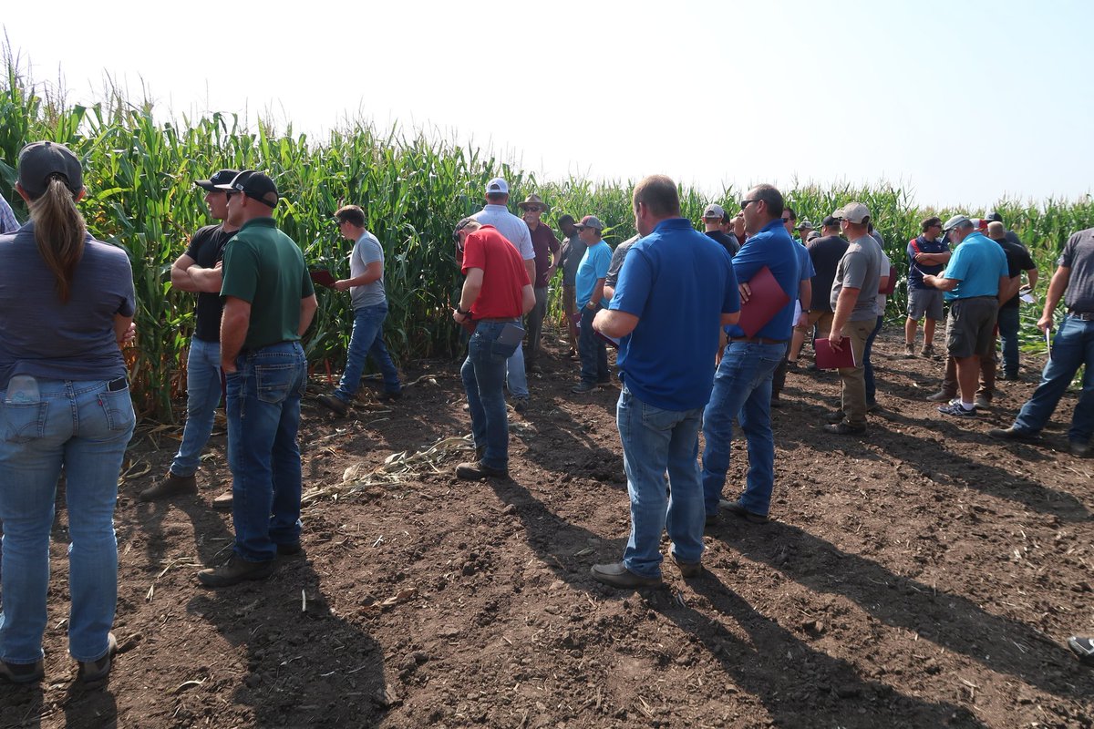 SWMNpest's tweet photo. Good crowd and good weather to view research and discuss #cornrootworm management today. Corn rootworm management field day @UMN_SWROC . @mncorn @UMNExt @UMN_Entomology https://t.co/hiWB3Esqcs