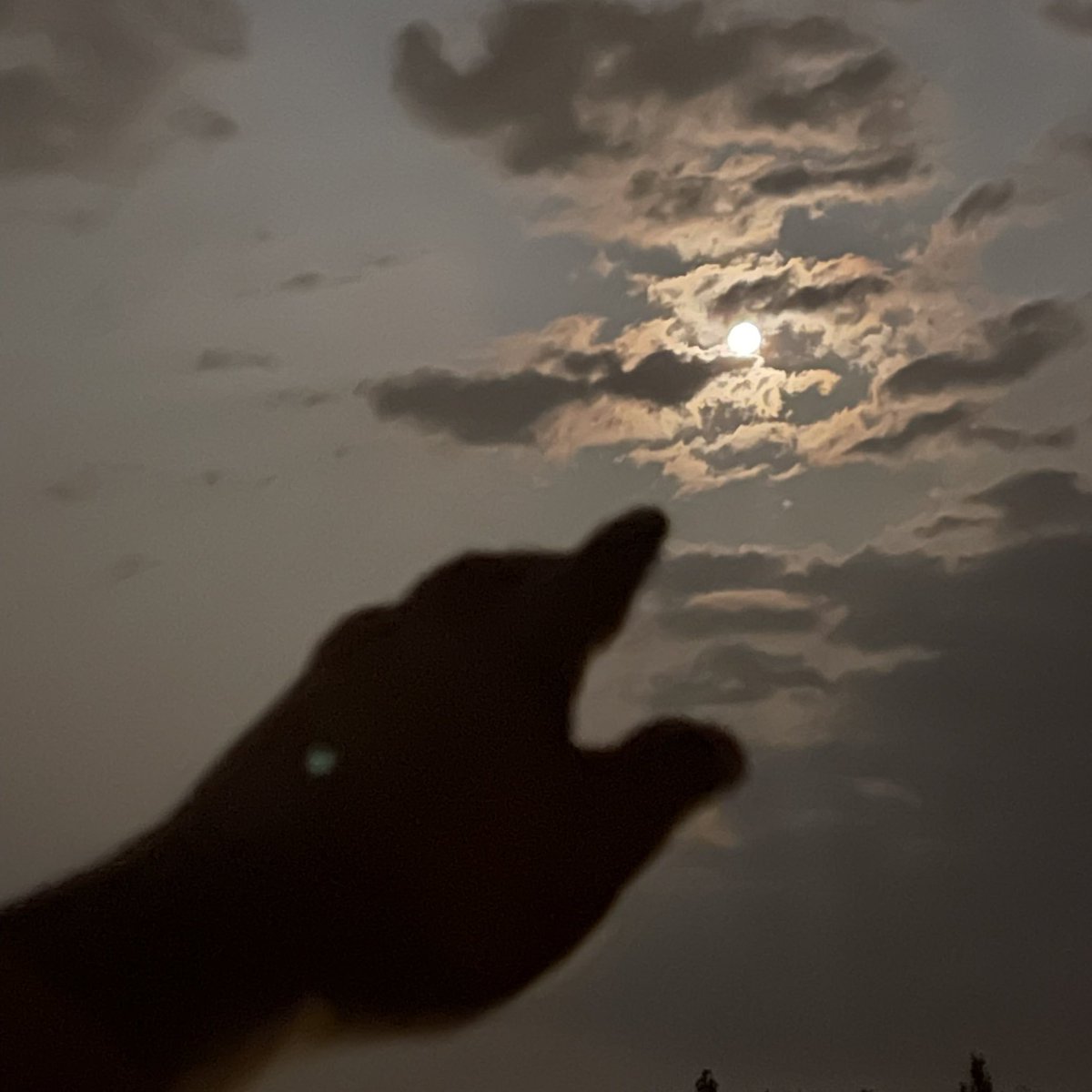imedsd's tweet photo. 30.23 #BlueMoon #القمر_الازرق https://t.co/gp1asFfq0A