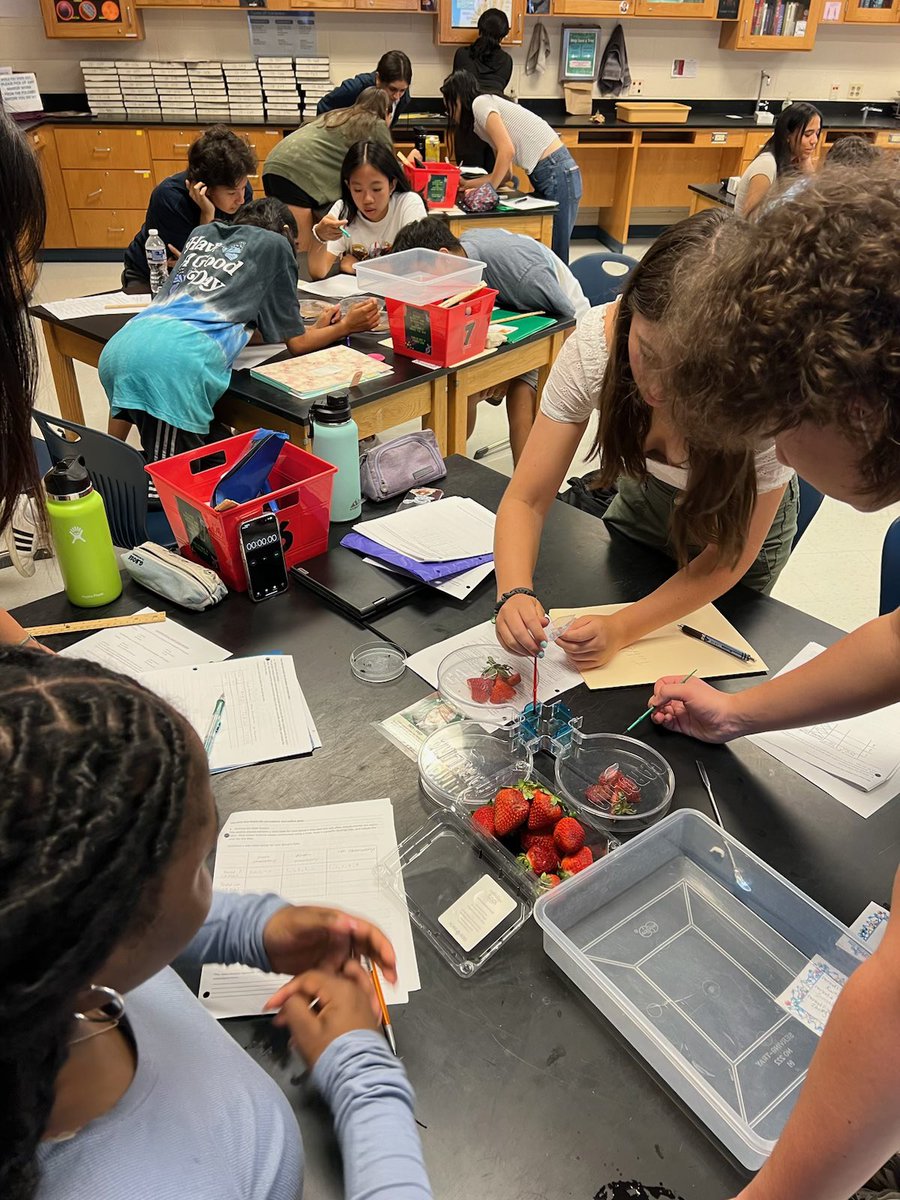 CHS Science tweet media