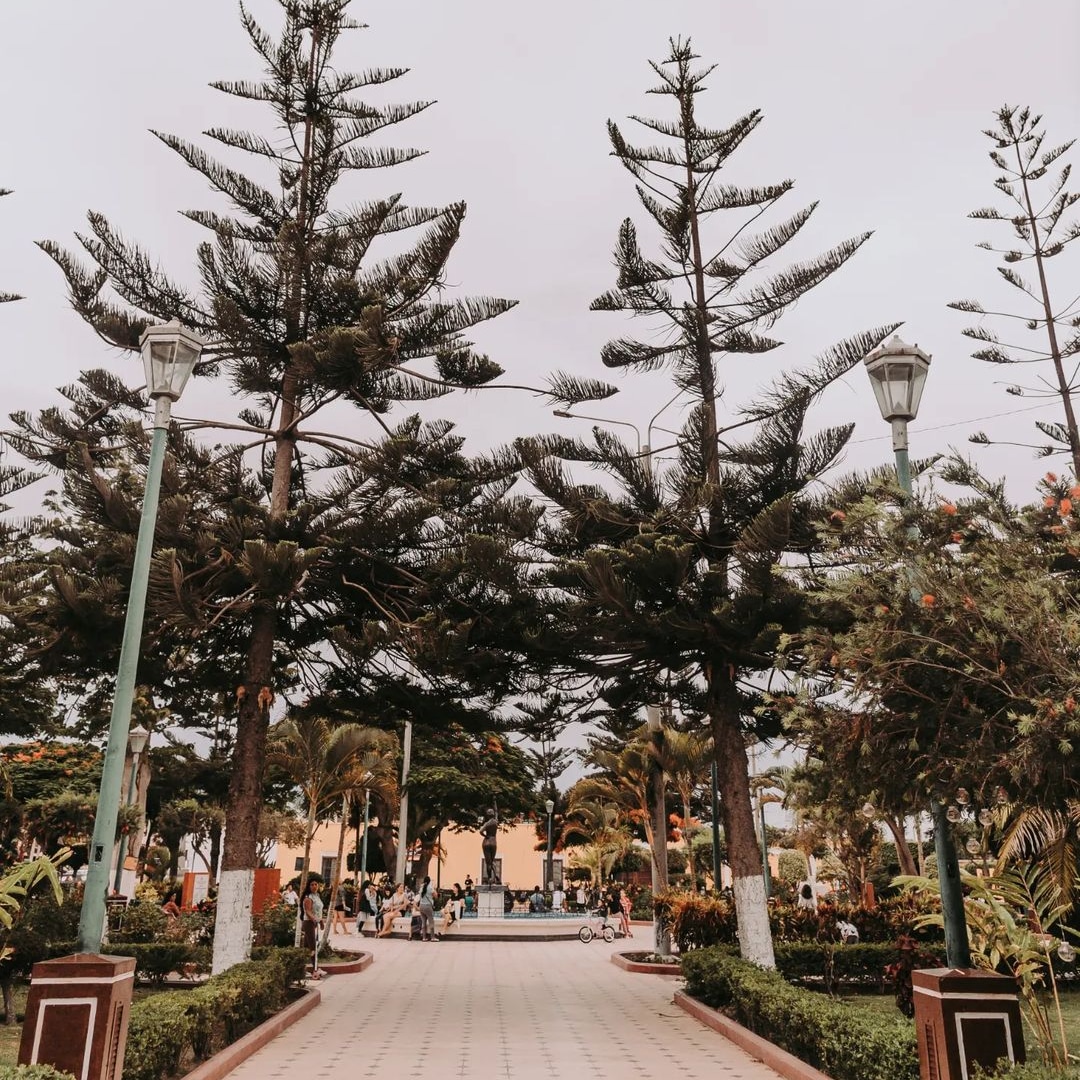 visitlambayeque's tweet photo. Tan bella como natural. 
📍Plaza de Armas de Lambayeque.

Visitante destacado:
📷 @richardbautistaa_ 

ℹ️ https://t.co/adaS9jFDnp https://t.co/sqMbLjIYKa