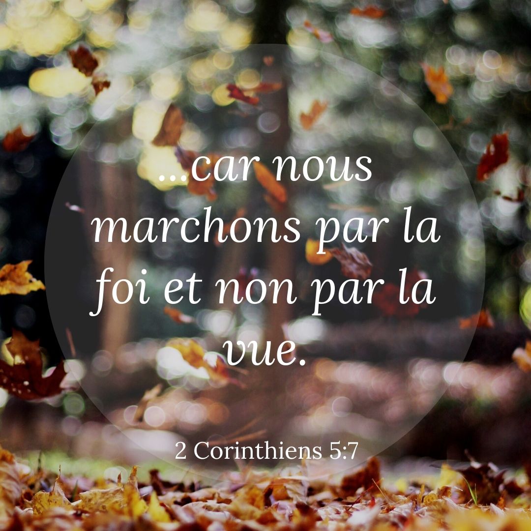 la_Bible's tweet image. 