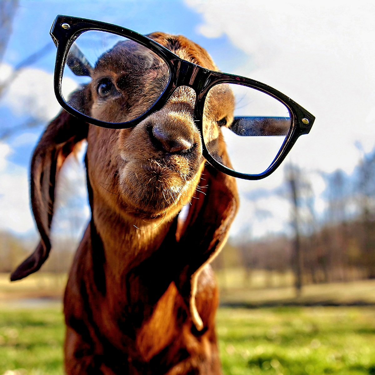 Gotwyn (@gotwyn) on Twitter photo 