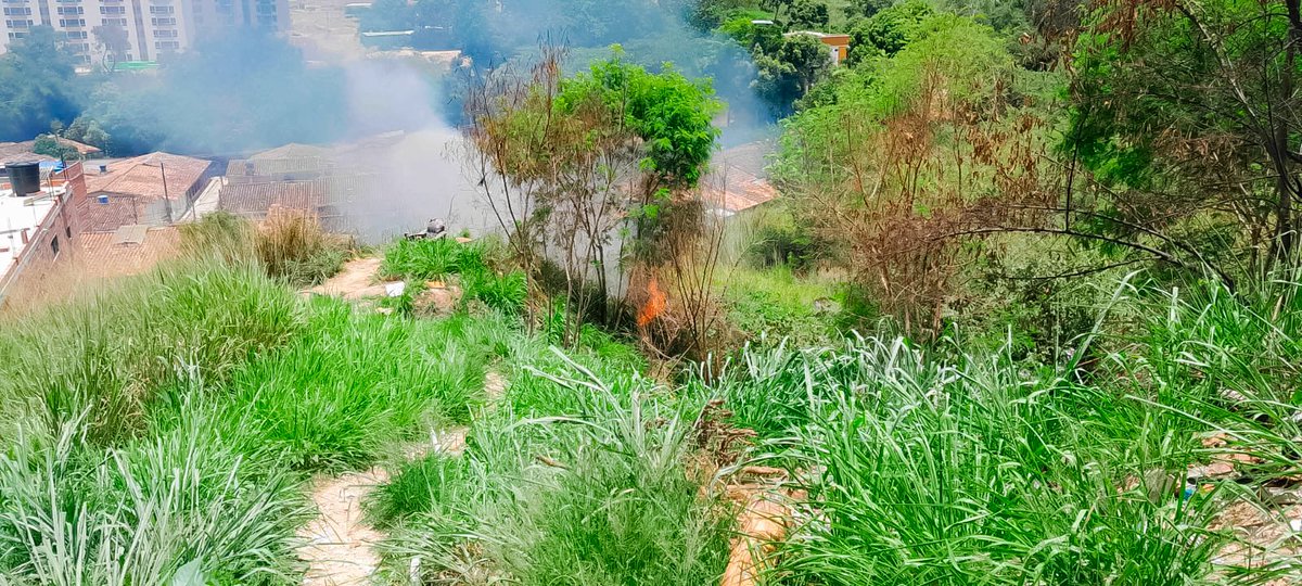 floridabomberos's tweet photo. Con #reacciónoportuna no mayor de 2 #horas, #unidadesbomberiles del #CBVF lograron #extinguir 2 #incendios de #coberturavegetal en #Girón.

Las #conflagraciones, que consumieron 500 Mt² cada uno, se presentaron en los #barrios #EloyValenzuela y en el #Sector1 de #NuevoGirón. https://t.co/0nfUX9LZSl