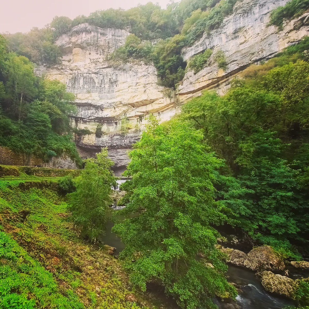 DaniXifre's tweet photo. Grotte du Mas-d'Azil. Ariege.
Jaciment arqueològic i meravella geològica.
#grotte #masdazil #ariege #arqueology #azilian #vacances #familia https://t.co/qF1pVhs3h3