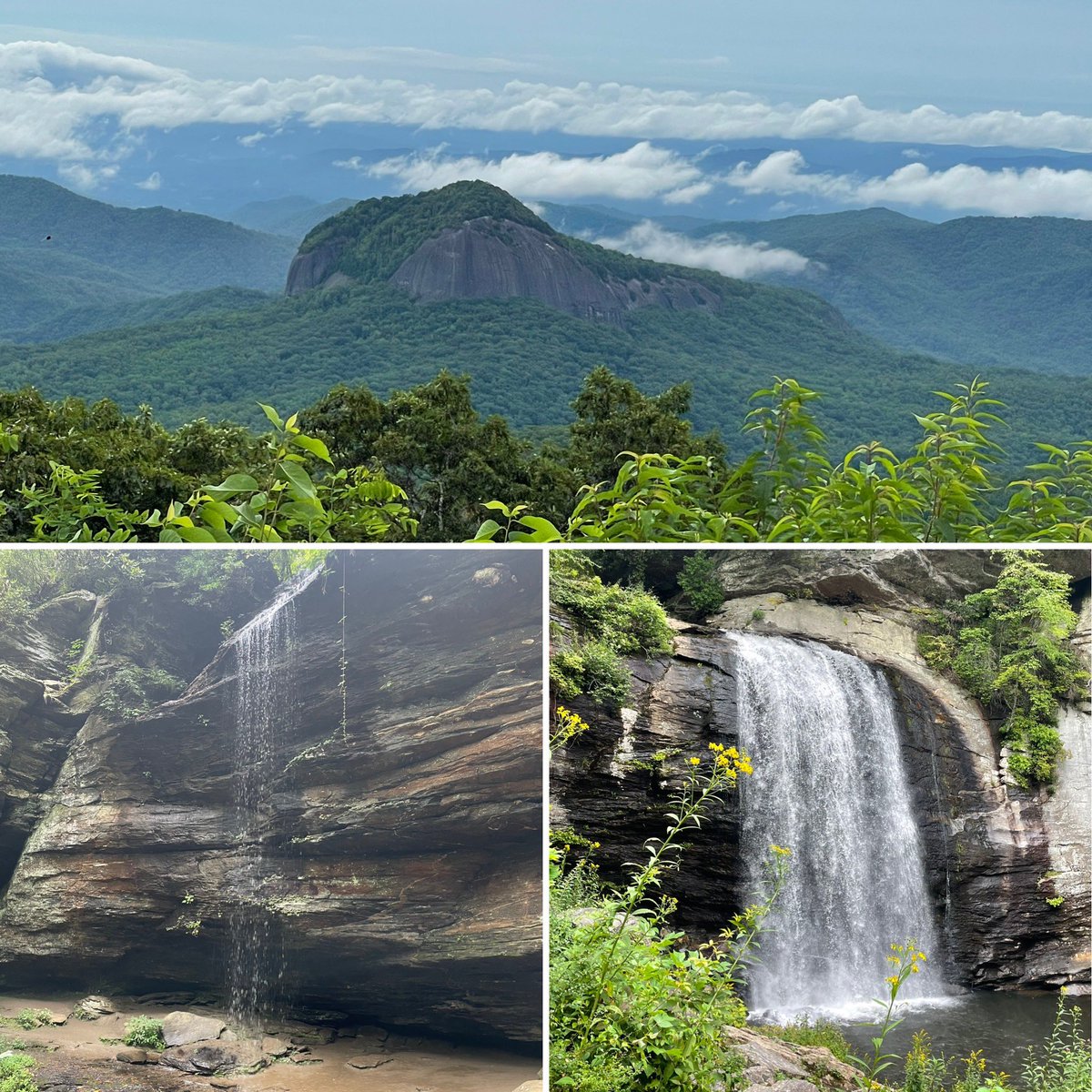 Nog een fijne laatste dag in de bergen met wandelingen naar mooie watervallen.

#BlueRidgeParkway
#PisgahNationalForest