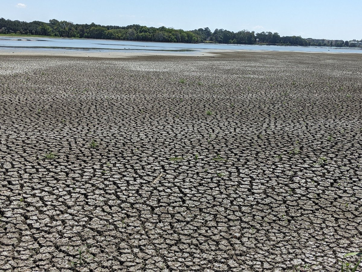 Pramodpanth's tweet photo. The University Lake on LSU's Baton Rouge campus is dried and cracked as a result of extreme heat and prolonged drought throughout this summer. #ClimateCrisis https://t.co/qG8CMnFbcD