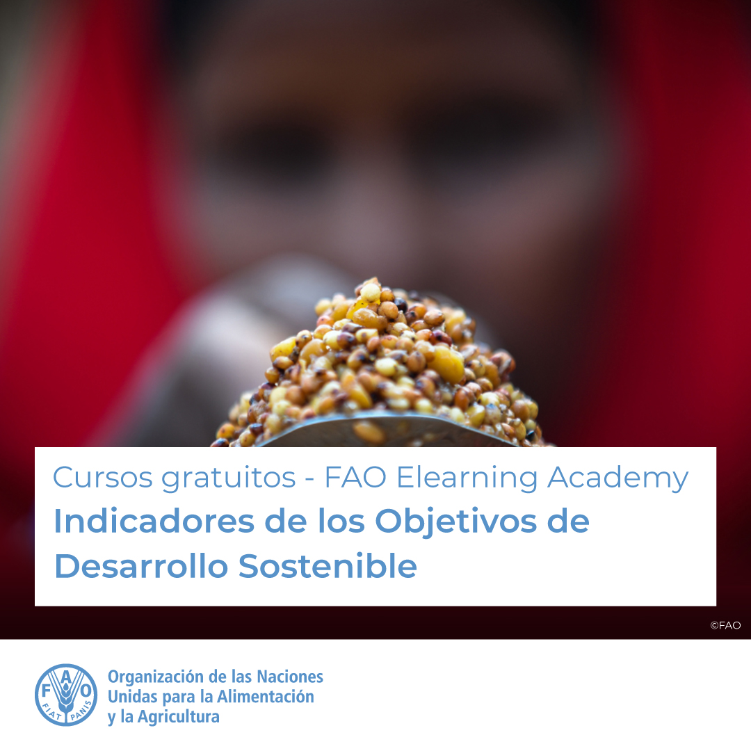 🎓 Cursos gratuitos de <a href="/FAO/">Food and Agriculture Organization</a> Elearning Academy 

🌐 Indicadores de los Objetivos de Desarrollo Sostenible 

Conoce a fondo los #ODS y los indicadores de la #Agenda2030

<a href="/FAOKnowledge/">FAO Knowledge</a> 

Más información ➡️ bit.ly/3LpFdRp