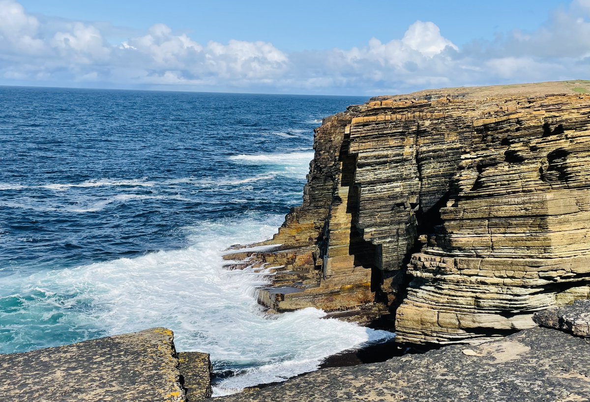 DogPerro1's tweet photo. Great walk along Yesnaby coastline - allegedly one of the most spectacular in the whole of Scotland.
#scottrip #Xavi #Barça
#wirehairedvizsla #orkney #scotland https://t.co/qJ99HuQDIi