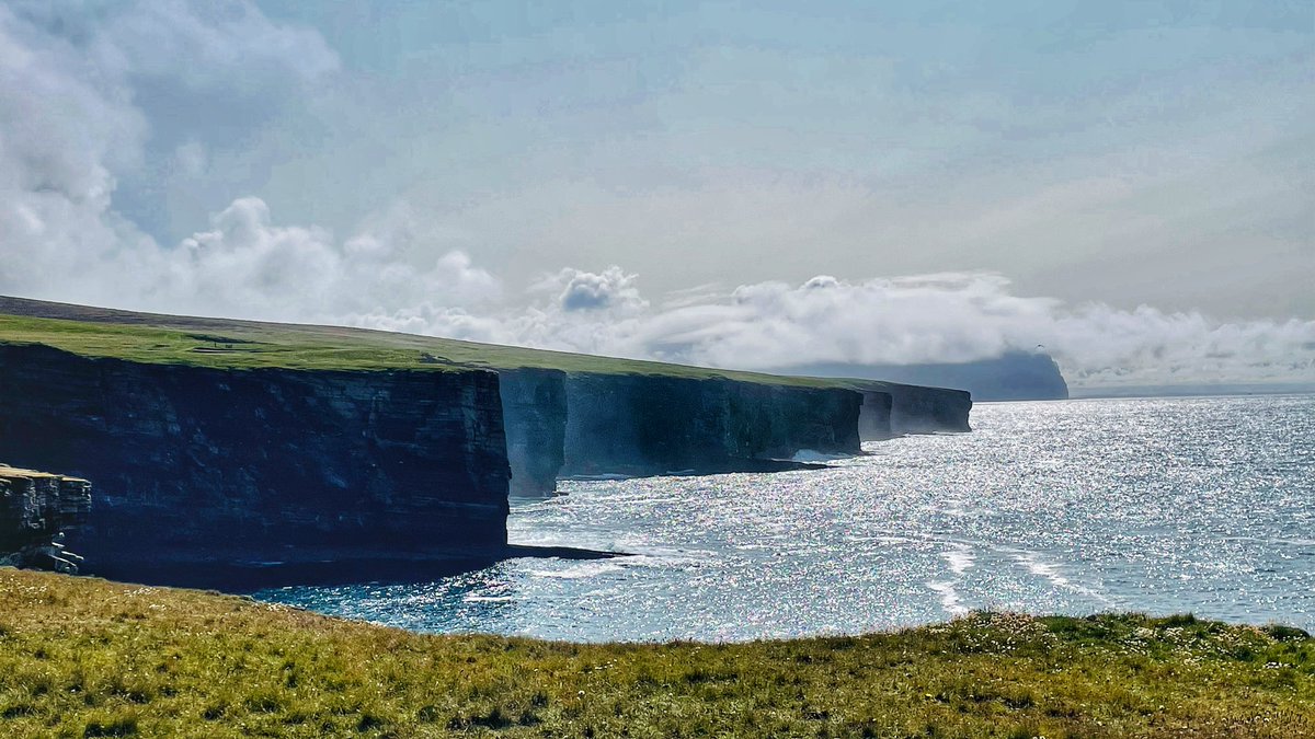 DogPerro1's tweet photo. Great walk along Yesnaby coastline - allegedly one of the most spectacular in the whole of Scotland.
#scottrip #Xavi #Barça
#wirehairedvizsla #orkney #scotland https://t.co/qJ99HuQDIi