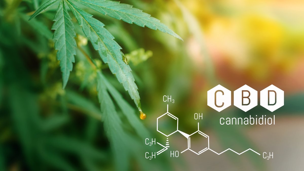 FHHSEvents's tweet photo. #Cannabis Definitions - Cannabidiol:
A non-psychotropic chemical compound found in cannabis, abbreviated CBD.
#FreedomHealthCBD #FHCBD #cannabisindustry #cannabishumor #cannabisgrowers #hempcommunity #420culture https://t.co/rpMwtQdiCg