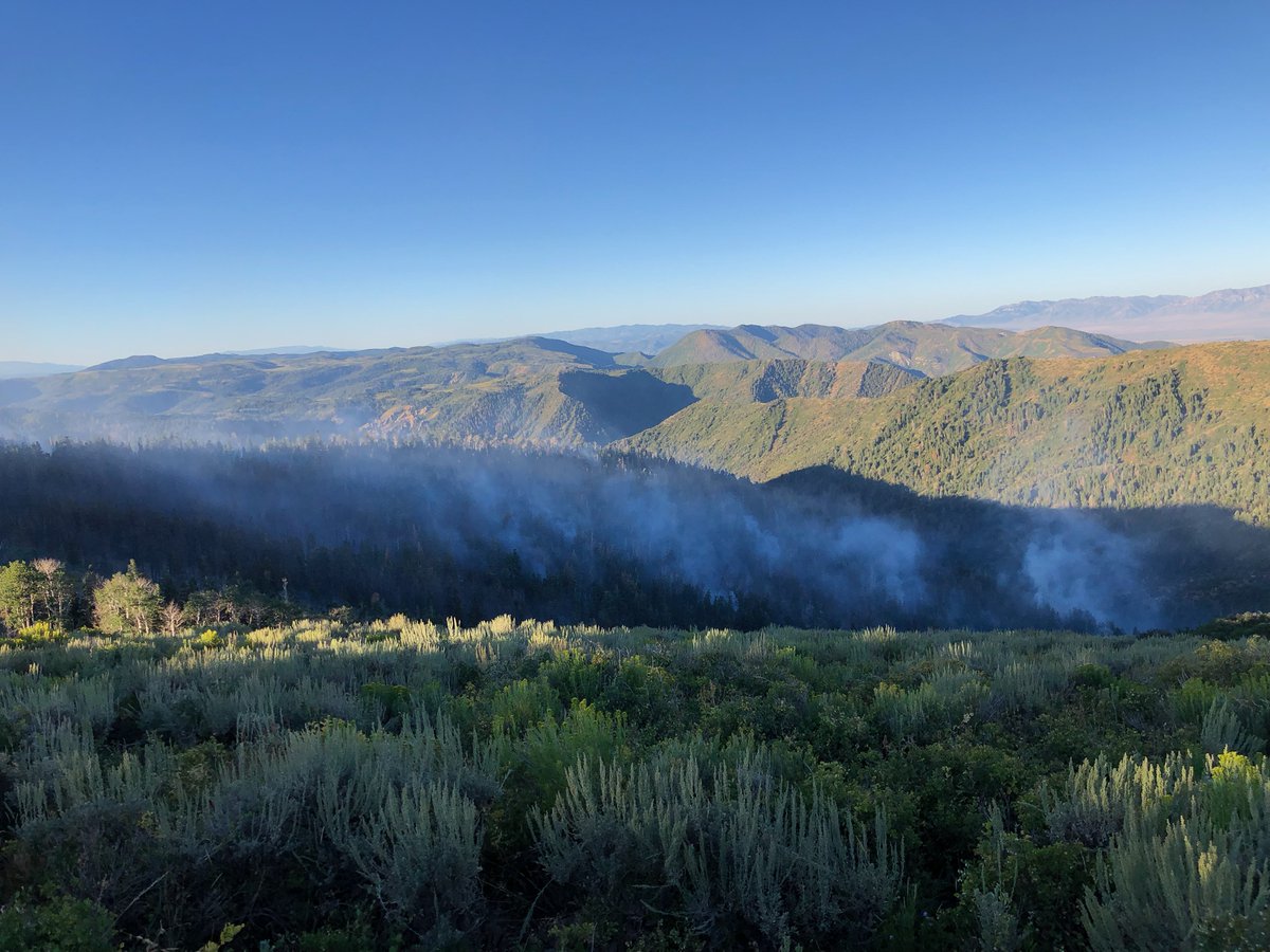 rifcdispatch's tweet photo. #MooreFire 50 acres. Crews completed firing operations &amp; will continue to monitor the fire until it is out. Smoke will be noticeable while interior fuels within mixed-conifer stand burn out. Wetting rains are predicted this weekend, helping firefighters further isolate the fire. https://t.co/RdeNCm0PyF