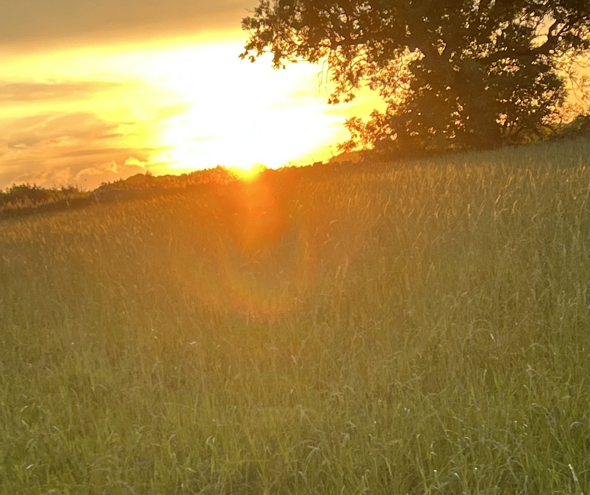 Just an evening walk with my dad and my dogs.  Life may sometimes be tough but this is remarkable.  Takes my breath away every time.  ☀️