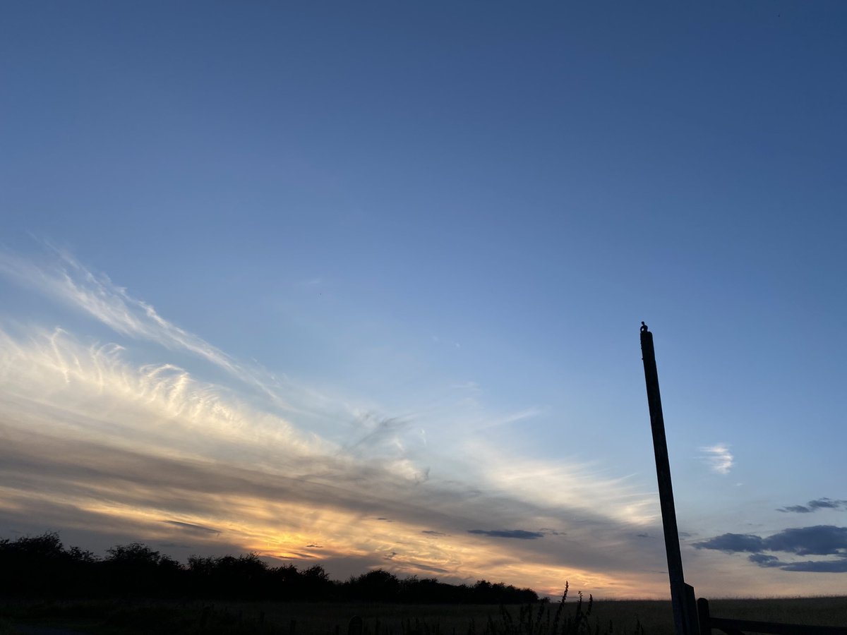Penultimate evening activity for this year’s #WeActiveChallenge, enjoying a sunset sculpture trail walk with some of our lovely community therapy leads #AHPsActive