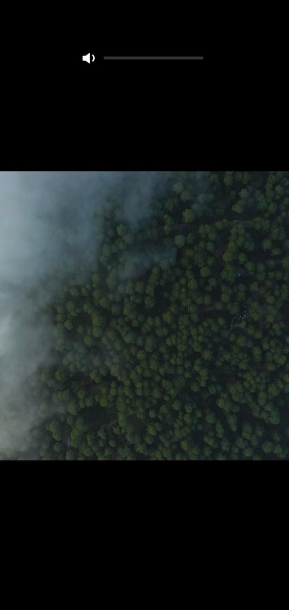 COProtocol's tweet photo. https://t.co/ITkNB5qKq3:
Carbon offsets aren’t helping the planet — four ways to fix them

In the article, the problems with the carbon offset market and how to fix them are discussed. 

Read article:

https://t.co/gmPKlidMfg

#globalwarming #carbonreduction #ParisAgreement https://t.co/OORXuBEGxq