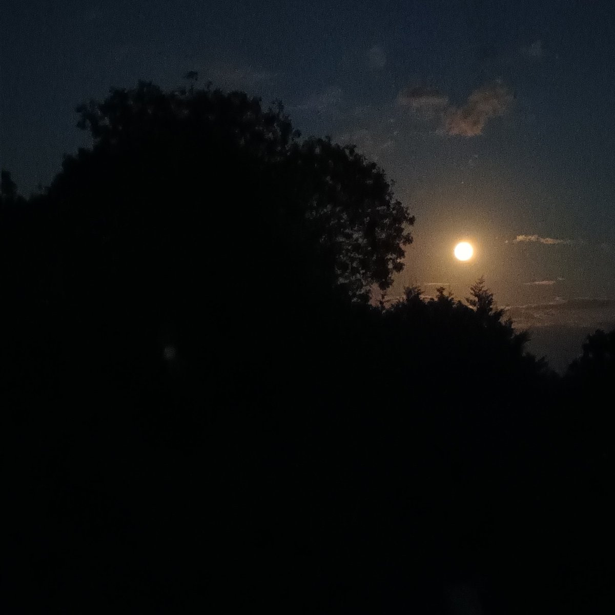 vaughan_col's tweet image. Tonight over Essex is the once in a Blue Moon, blue moon.
#supermoon #BlueMoon #onceinabluemoon