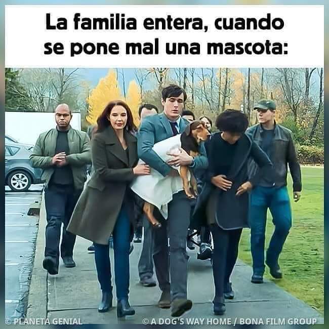 Cuantas familias habrá así?

Crédito al autor de la imagen