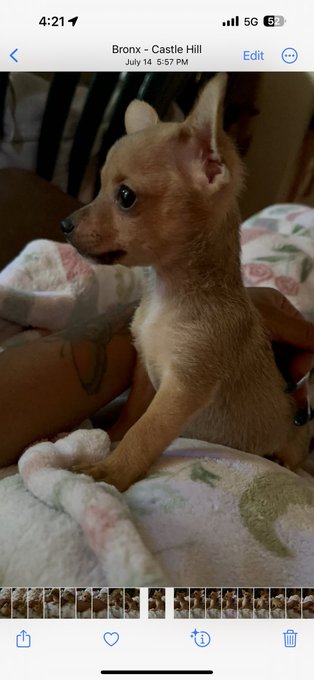 @contextdogs CoCo https://t.co/rBxDLgA1ic<a class="tags" target="_blank" title="On Twitter" href="/?out=eyJ0eXAiOiJKV1QiLCJhbGciOiJIUzUxMiJ9.eyJpYXQiOjE3MjY4MjExNTYsImlzcyI6InR3cG9ybnN0YXJzLmNvbSIsIm5iZiI6MTcyNjgyMTE1NiwiZXhwIjoxNzU4MzU3MTU2LCJyZWRpcmVjdF91cmwiOiJodHRwczovL3R3aXR0ZXIuY29tL2NvbnRleHRkb2dzIn0.Loy64pz_se_inVrLQATnt845Va8GX3Z3QlbwHwdCsIYwJChcTuAJhQbd0YdWCk7lXLlnYQJiOHP8x9BV-GeGQQ">@contextdogs</a>