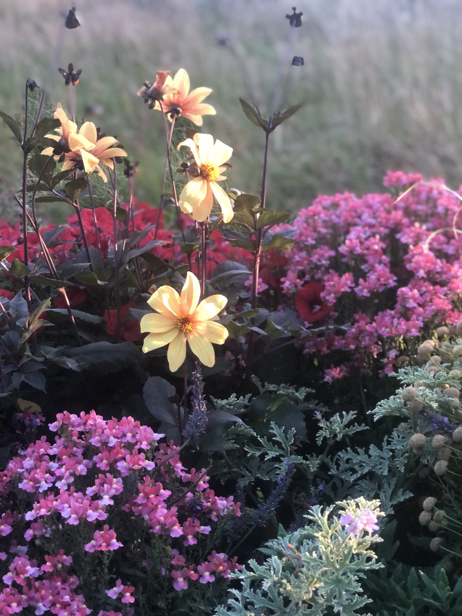 Derriennebell Bell tweet media