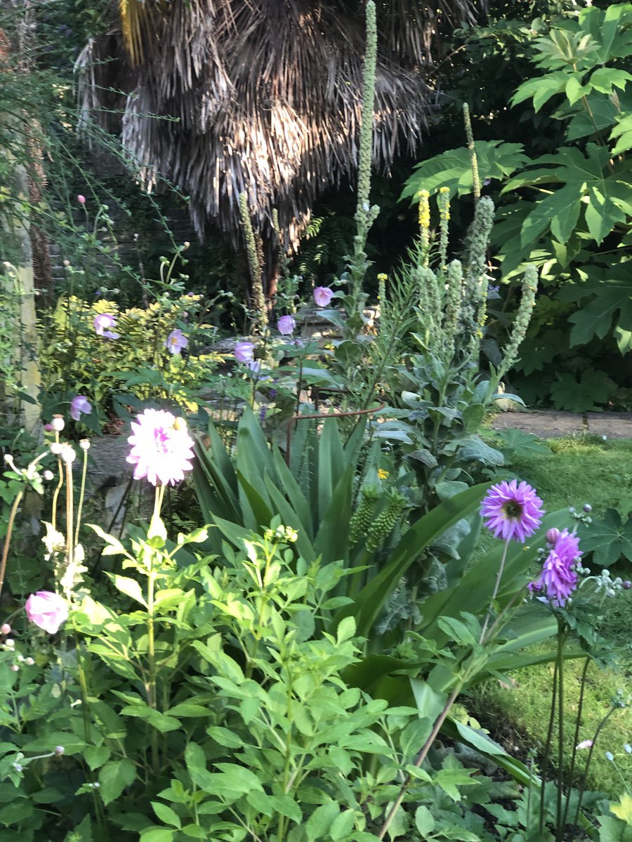 Derriennebell Bell tweet media