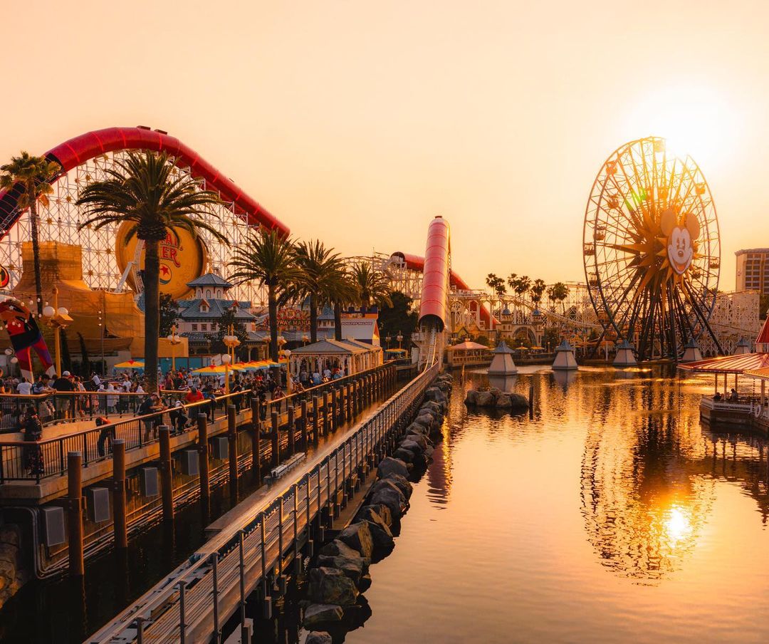 ¡Celebración de 100 Años de Disney en Disneyland Resort! Cruzando por el <a href="/CrossBrdrXpress/">Cross Border Xpress</a>, nuestros expertos en el #CaliforniaWelcomeCenter te ayudarán a planear tu inolvidable viaje a #California. 

--
📷: disneywithashlee vía IG