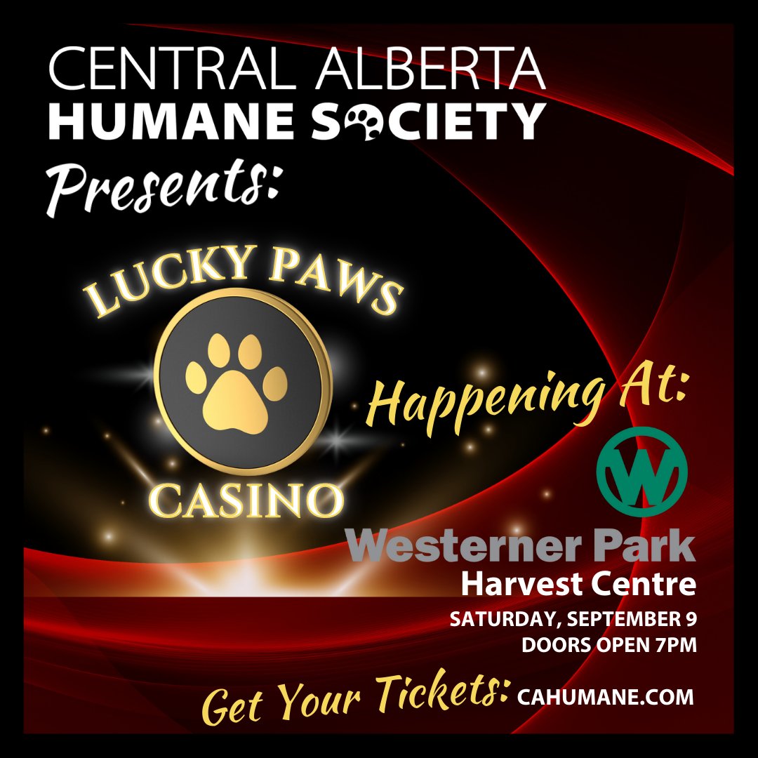 🌽🍅 Join us this Sat, Sept 2, 8am-12:30pm at The Market at Red Deer! 🤝 Booth with Donna Purcell QC Law (spots 61-63) ✨

Win 2 tickets to Lucky Paws Casino Nite on Sept 9 ($200+ value)! Just drop by to enter. Tickets for sale too. 

More on Lucky Paws: cahumane.com/event/lucky-pa…