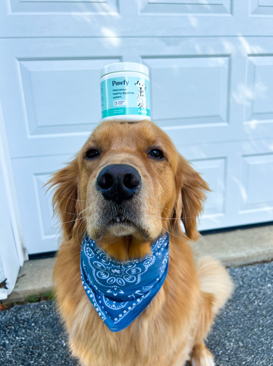 marissac_ugc's tweet image. Mom calls these organic ✨product shots✨ 

🤪🐾🐕🤎

#ugccommunity #petcontent #petugc #dogbrands #UGCcreator