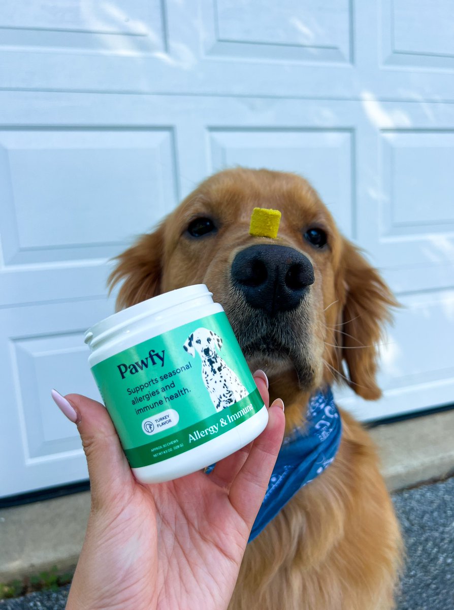 marissac_ugc's tweet image. Mom calls these organic ✨product shots✨ 

🤪🐾🐕🤎

#ugccommunity #petcontent #petugc #dogbrands #UGCcreator