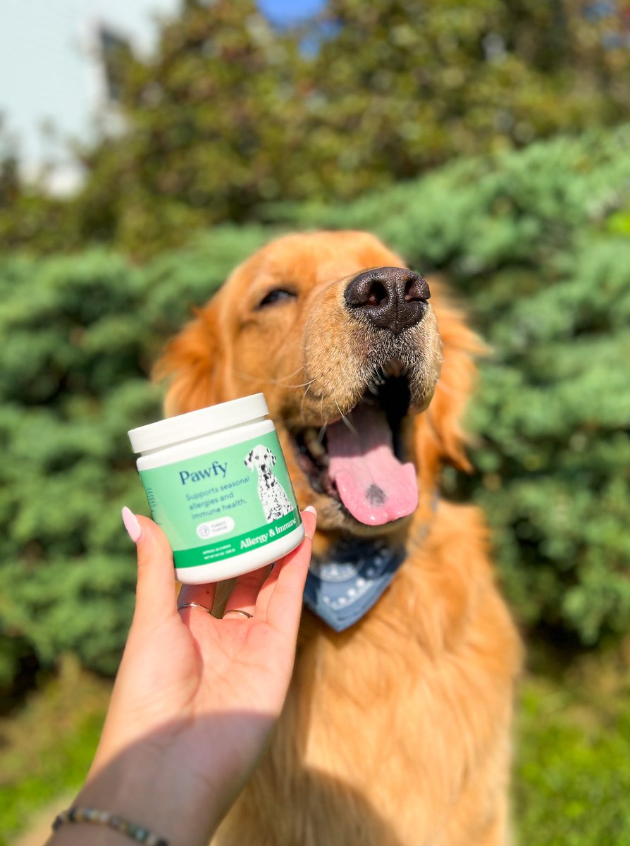 marissac_ugc's tweet image. Mom calls these organic ✨product shots✨ 

🤪🐾🐕🤎

#ugccommunity #petcontent #petugc #dogbrands #UGCcreator