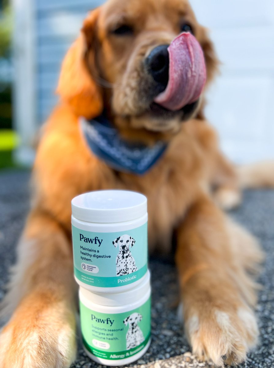 marissac_ugc's tweet image. Mom calls these organic ✨product shots✨ 

🤪🐾🐕🤎

#ugccommunity #petcontent #petugc #dogbrands #UGCcreator