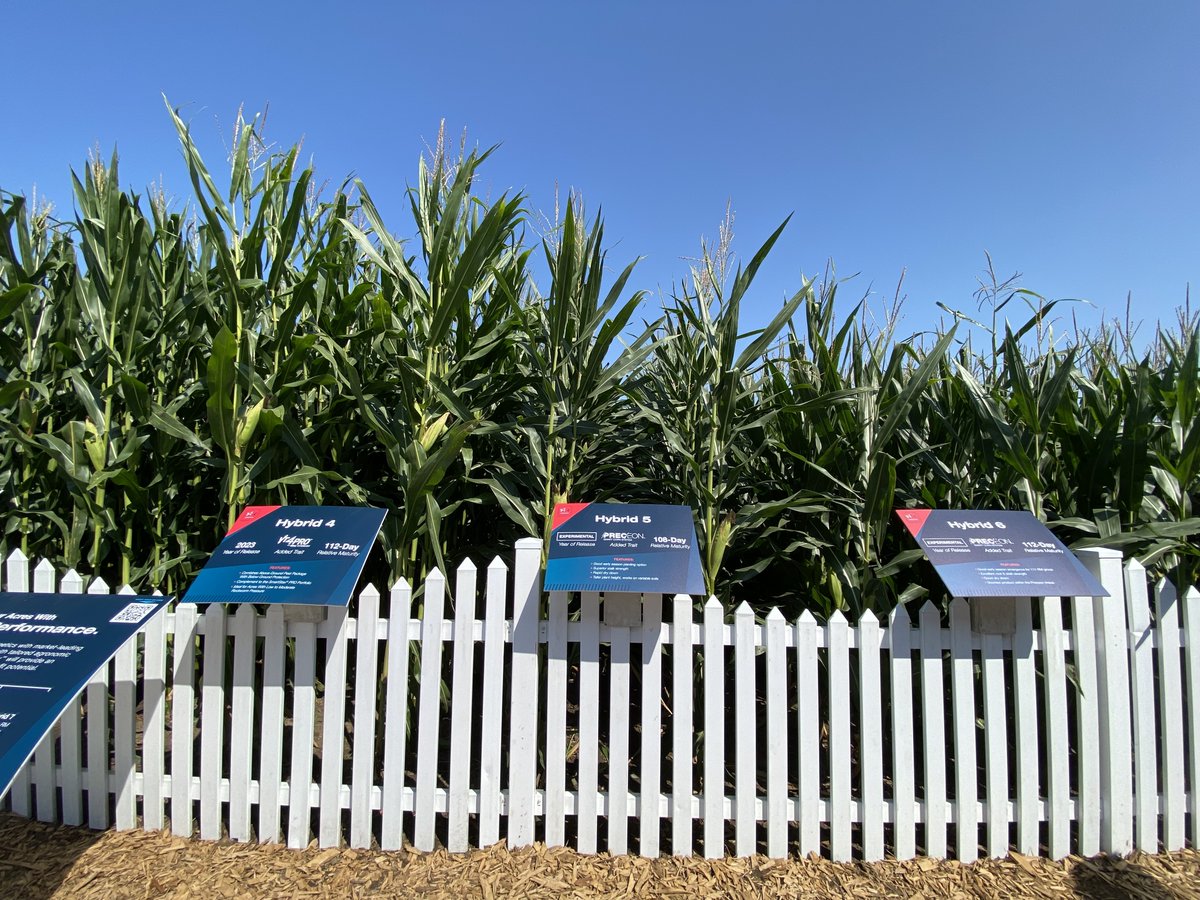 BayerTraits's tweet image. #Preceon Smart Corn System is what's next in corn evolution. Come see it in person at #FPS23 in the Bayer plot. #ShortCorn