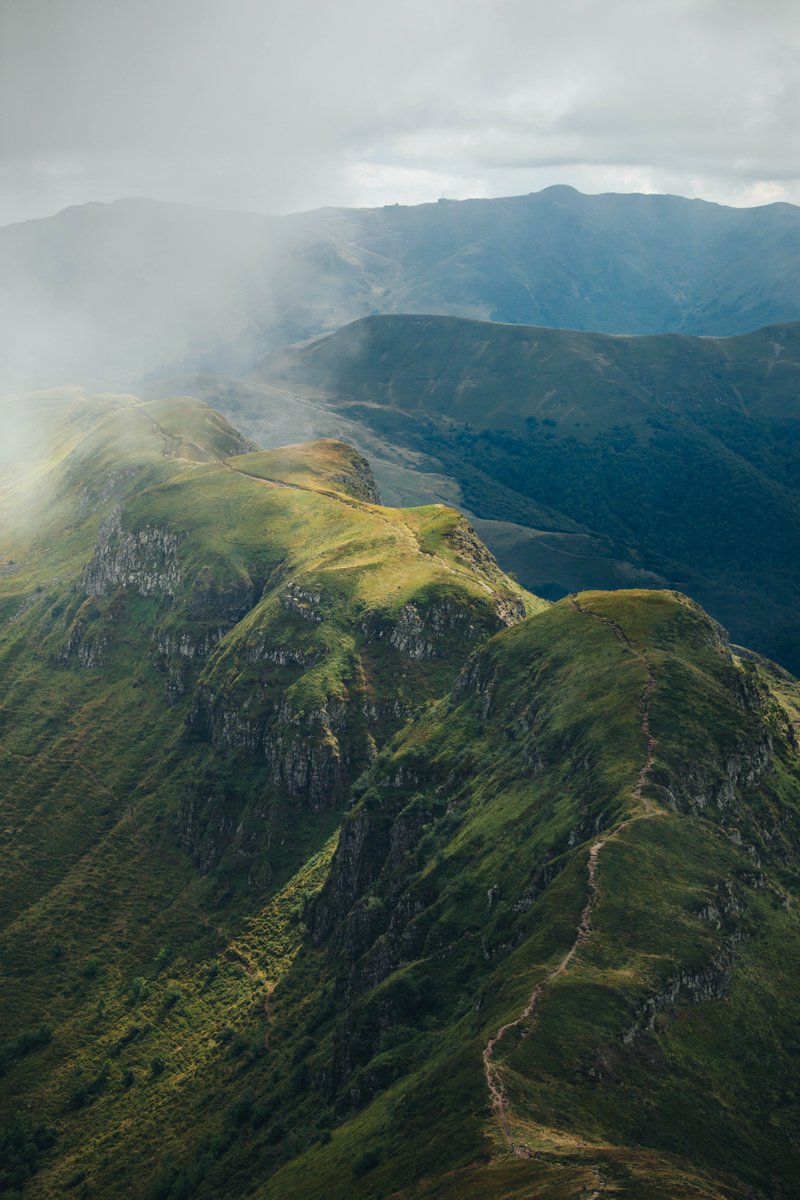 hellolaroux tweet media