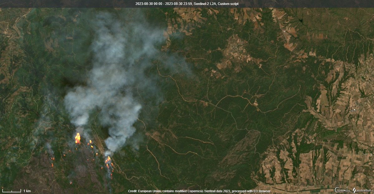 WED_explorer's tweet photo. Two #fire fronts in the region of Evros continue to rage in the area of Leptokarya, particularly at Meghalo Rema and Kotronia.
The change of the wind direction from northeastern to southern on Wednesday pushed the blaze to another direction that seemed uncontrollable.
#GreeceFire https://t.co/8shjOeWFod