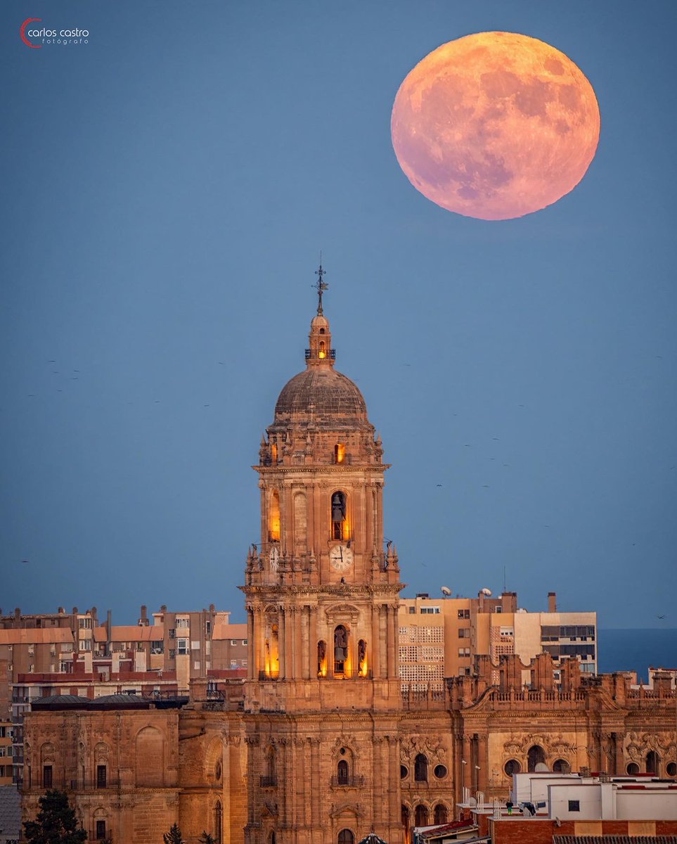 Carloscastro_82's tweet photo. Súperluna Azul sobre la catedral de Málaga hace un momento ☺️☺️☺️☺️. Las nubes nos fastidiaron la súper planificación de mi compi @enisosbajas 😔 https://t.co/Z8VBPX1qry
