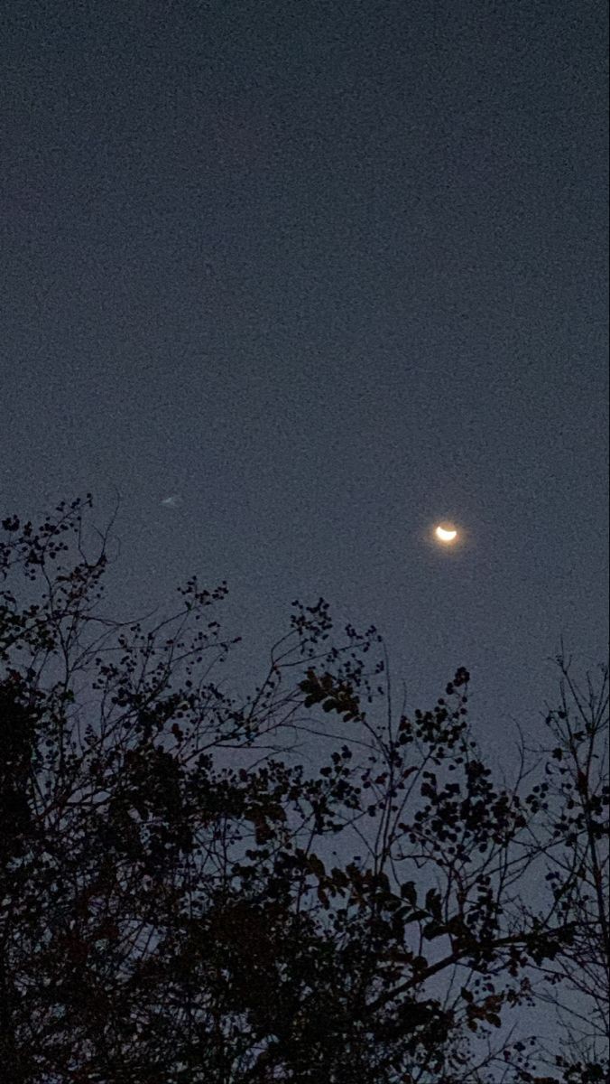 “İçimde yarım kalmış bir konuşmanın üzüntüsü vardı”