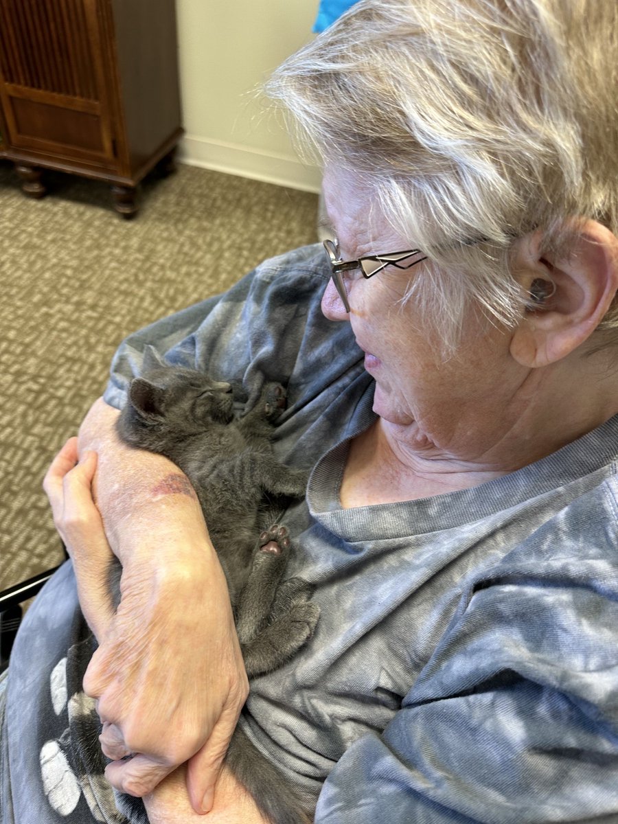 WoodBridgeHC's tweet image. Residents were all smiles today to spend time with a special visitor today in the Therapy Department! 🐈 #whyitrilogy #css #fallcss