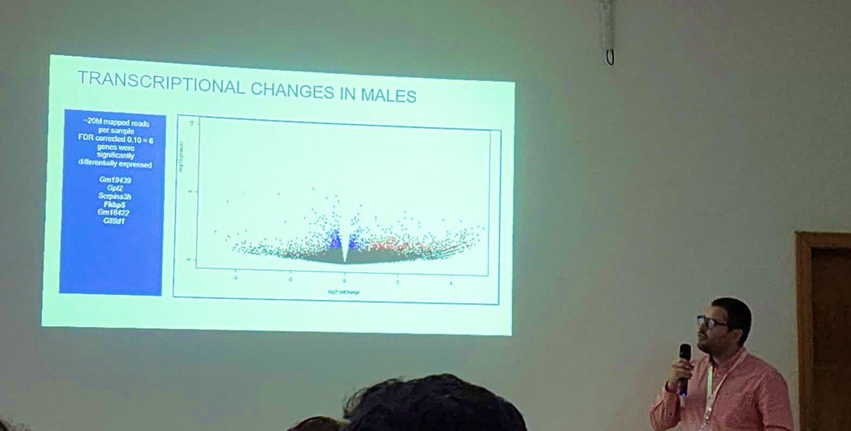 Thiago Wendt Viola tweet media