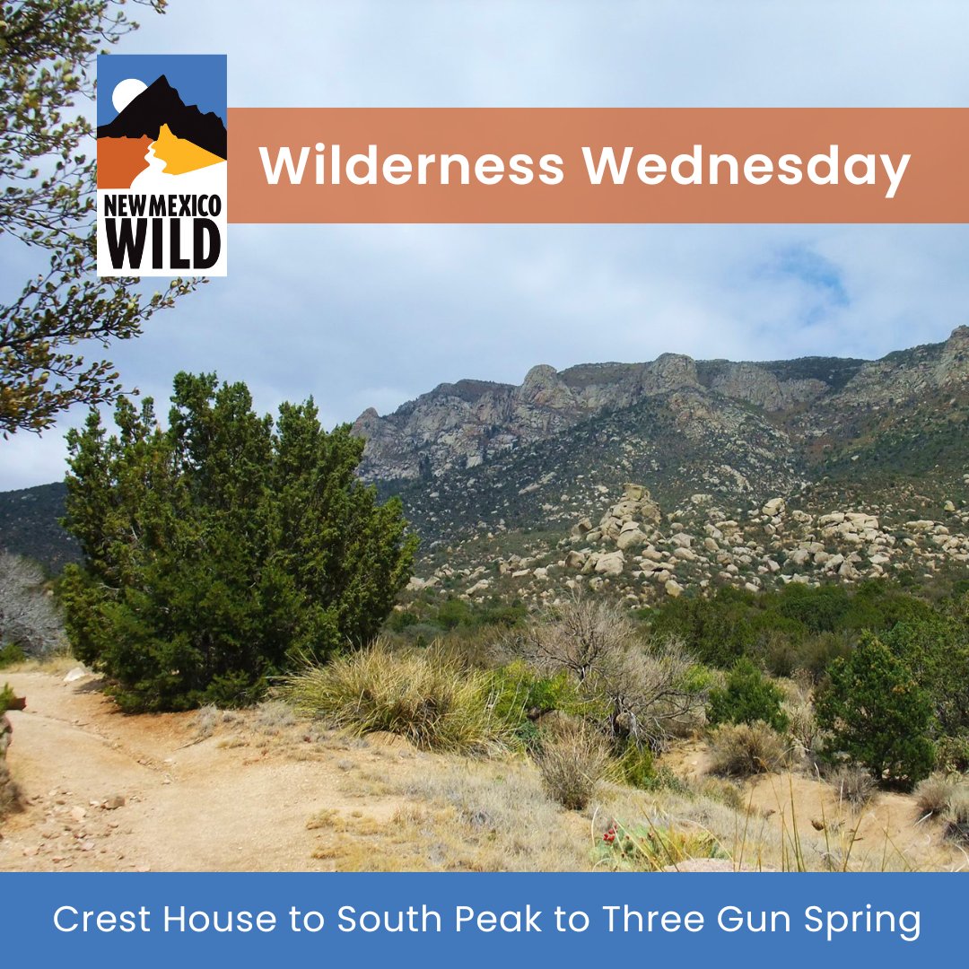 nmwild's tweet photo. Have you backpacked in the Sandias? This #WildernessWednesday we're sharing an unforgettable through-hike in the Sandia Mountain Wilderness!
Find this hike in our free online hiking guide! 👉 https://t.co/dkQwY9HcFC
#nmwild #nmhiking #hikenm #sandias #sandiapeak #nmtrue https://t.co/qRTXWBkrpb