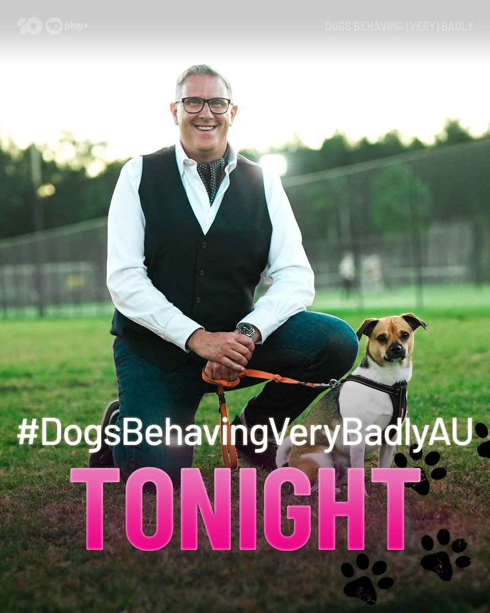 DogsBehavingAU's tweet image. Loki, Bowsi and Leo might be some of the naughtiest canine's we've seen so far 😰

#DogsBehavingVeryBadlyAU 7.30 Tonight on 10 and 10 Play

@GraemeDogfather @Ladyjmo #DogsofAustralia #AussieDogs #DogTraining #DogTrainingAustralia #DogTrainingTips #DogTrainingAdvice